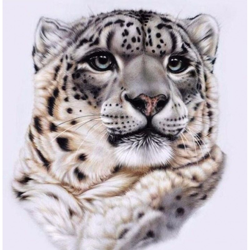 Snow Leopard Face Di...