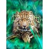 Snow Leopard - Paint by Diamonds