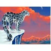 Snow Leopard & Red Sky