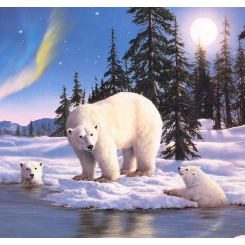 Snow Bears Family Di...