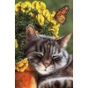 Sleeping Cat - Paint by Diamonds