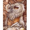 Professor Owl Diamond Painting