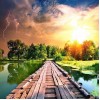 Shinning Sun & Striking Light