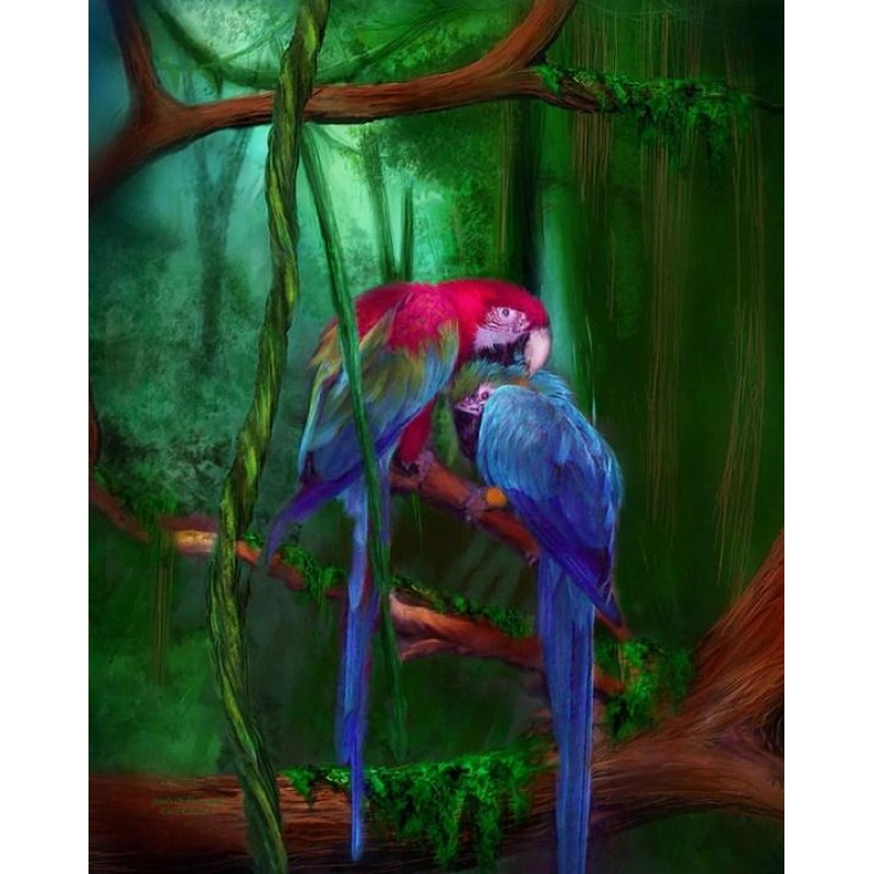 African Parrots in T...