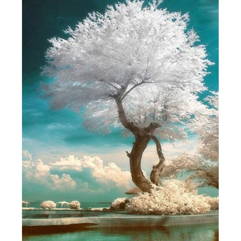 Beautiful Tree with White...