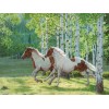 Forest Horses - Diamond Painting Kit
