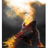 Dragon Wolf Blowing Fire