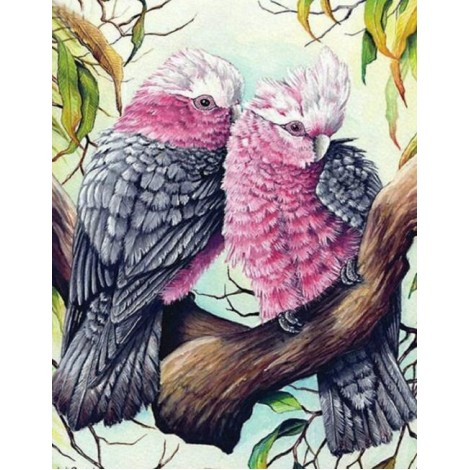 Pink & Grey Cockatoos Pair