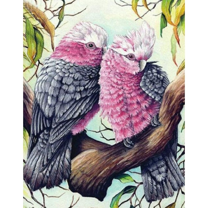 Pink & Grey Cock...