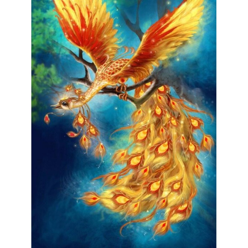 Beautiful Phoenix - ...