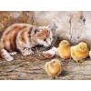 Cat & Chicks - Paint by Diamonds