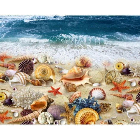 Sea Shells on the Beach