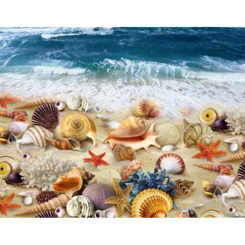 Sea Shells on the Be...