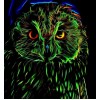 Screech Owl - Paint by Diamonds