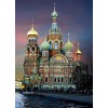 Savior on the Spilled Blood - Church DIY Painting