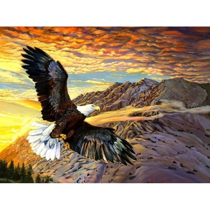 Bald Eagle Flying Hi...
