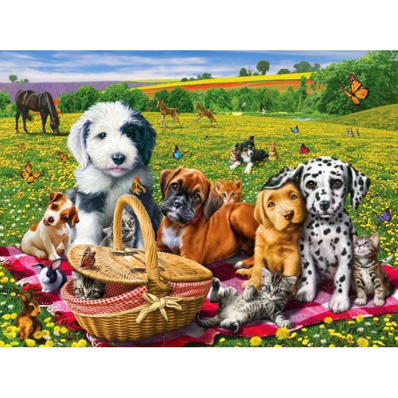 Dogs & Cats on P...