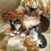 Mother Cat & Baby Kittens