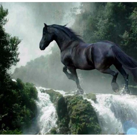 Running Black Horse