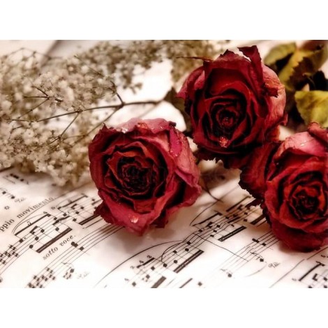 Roses DIY Painting Kit