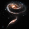 Rose Galaxies ARP-273
