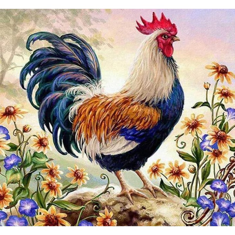 Rooster Diamond Pain...