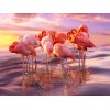 Flamingos Group - Paint by Diamonds