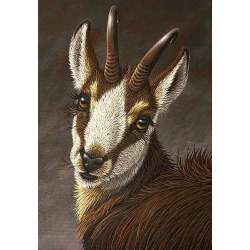 Beautiful Goat - Paint by...