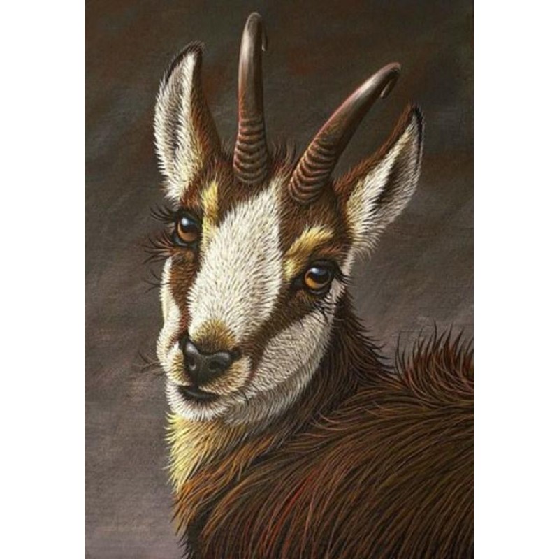 Beautiful Goat - Pai...