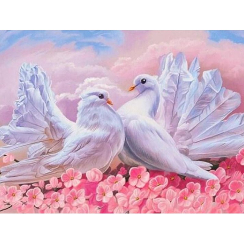 Love Pigeons - Paint...