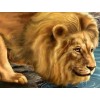 Lion Drinking Water Diamond Painting