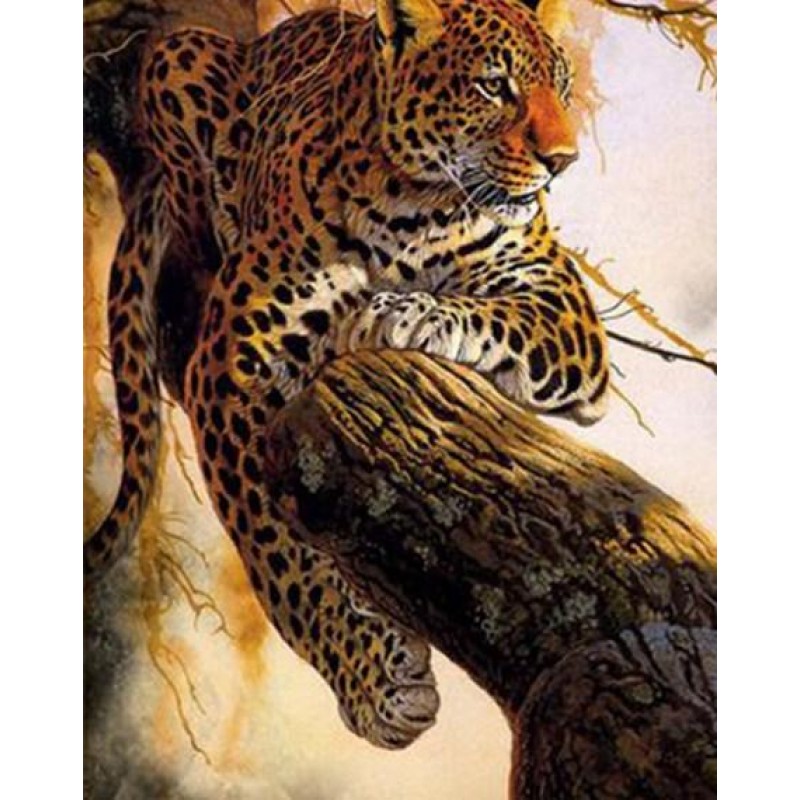 Resting Leopard - Pa...