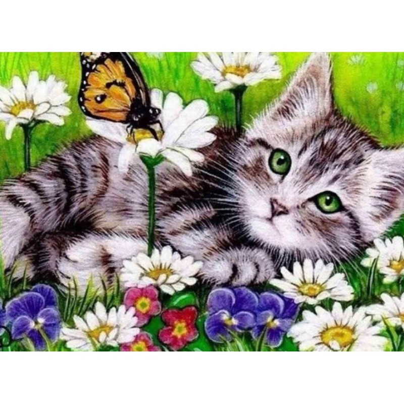 Resting Cat & Bu...