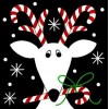 Reindeer Christmas Card