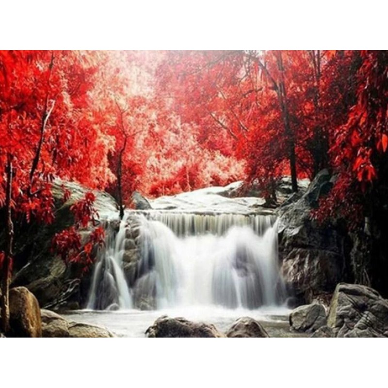 Red Trees & Wate...
