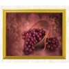 Red Grapes DIY Diamond Painting