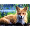 Red Fox - Paint with Diamonds