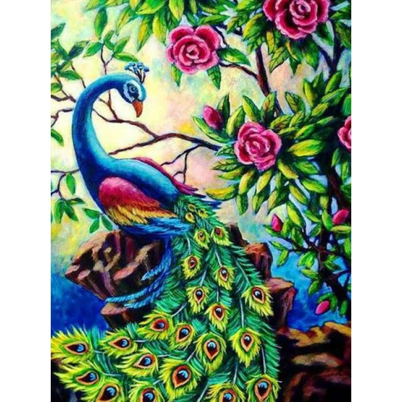 Pretty Peacock &...