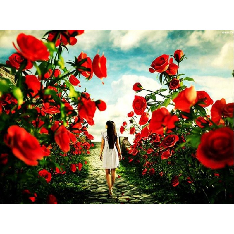 Girl Walking in Rose...