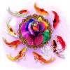 Rainbow Rose & Koi Fish