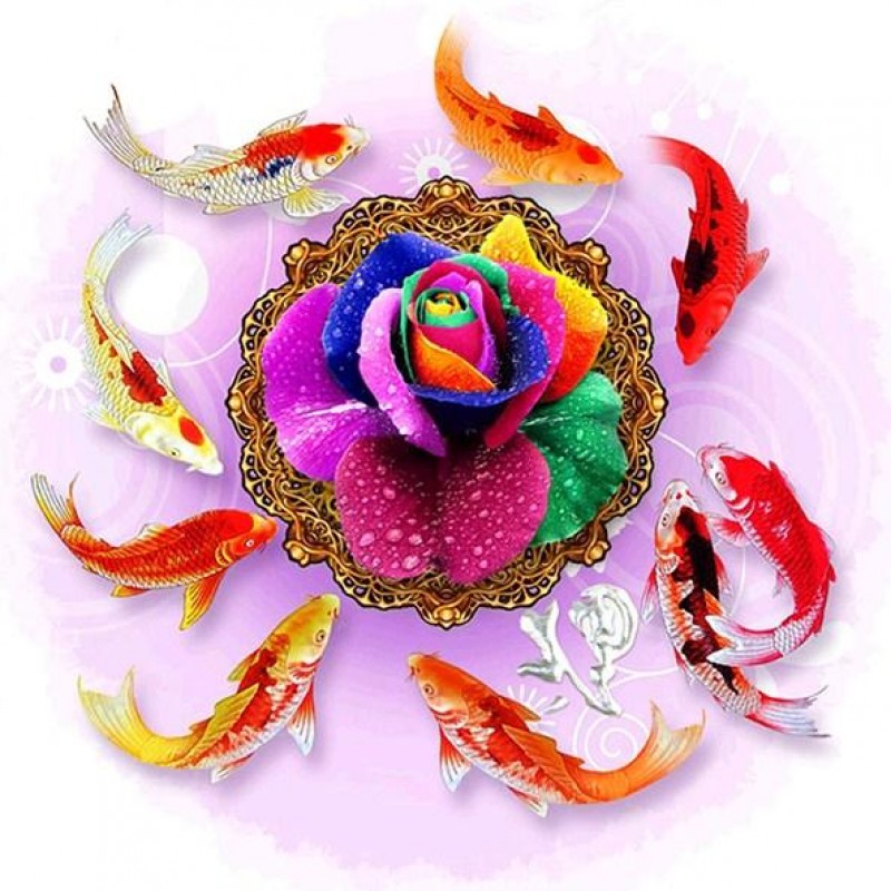 Rainbow Rose & K...