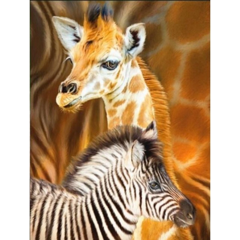 Baby Giraffe & Z...
