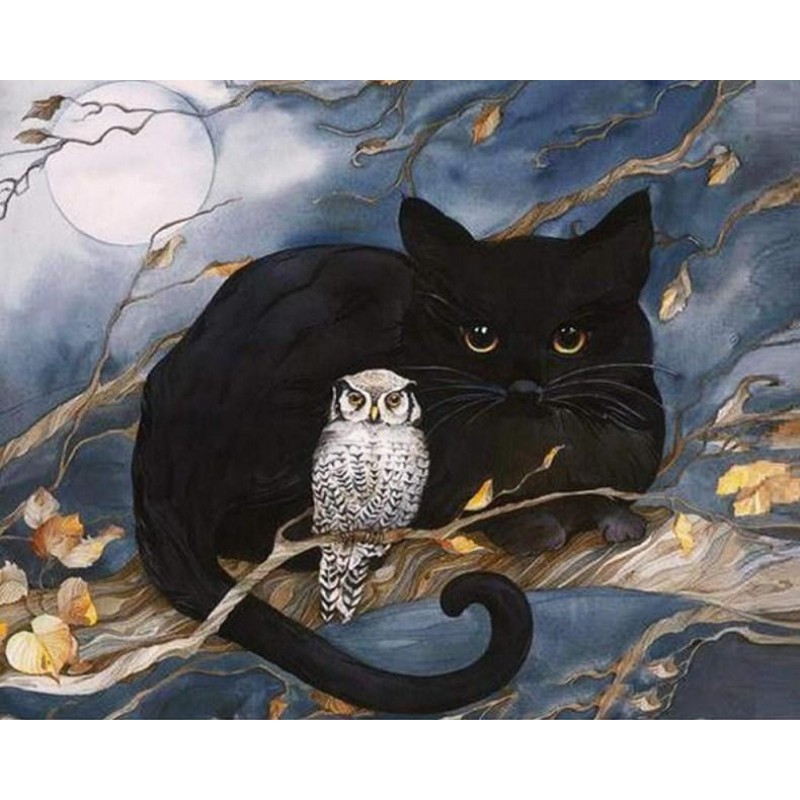 Black Cat & Owl Sitti...
