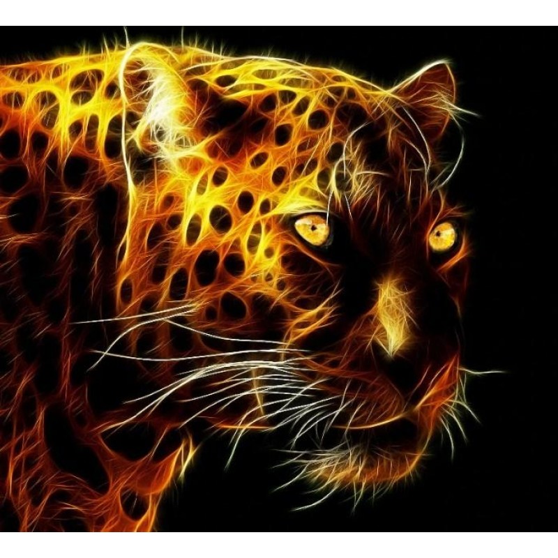 Blazing African leop...