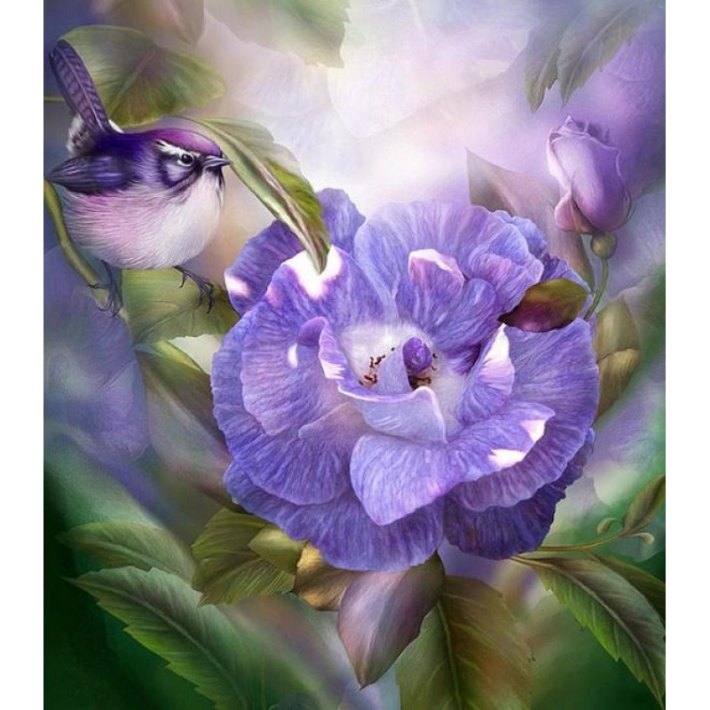 Purple Rose & Bi...