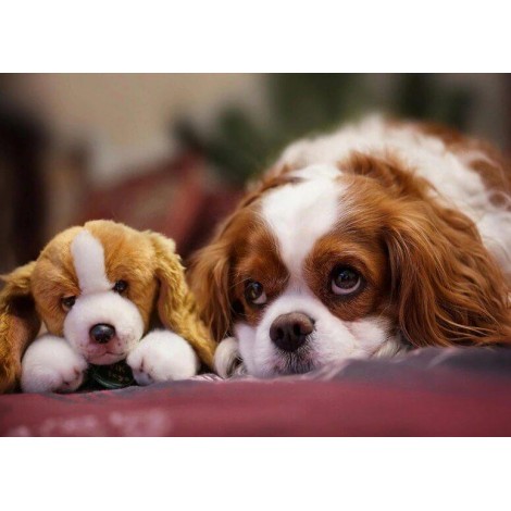Puppy with a Stuffed Toy