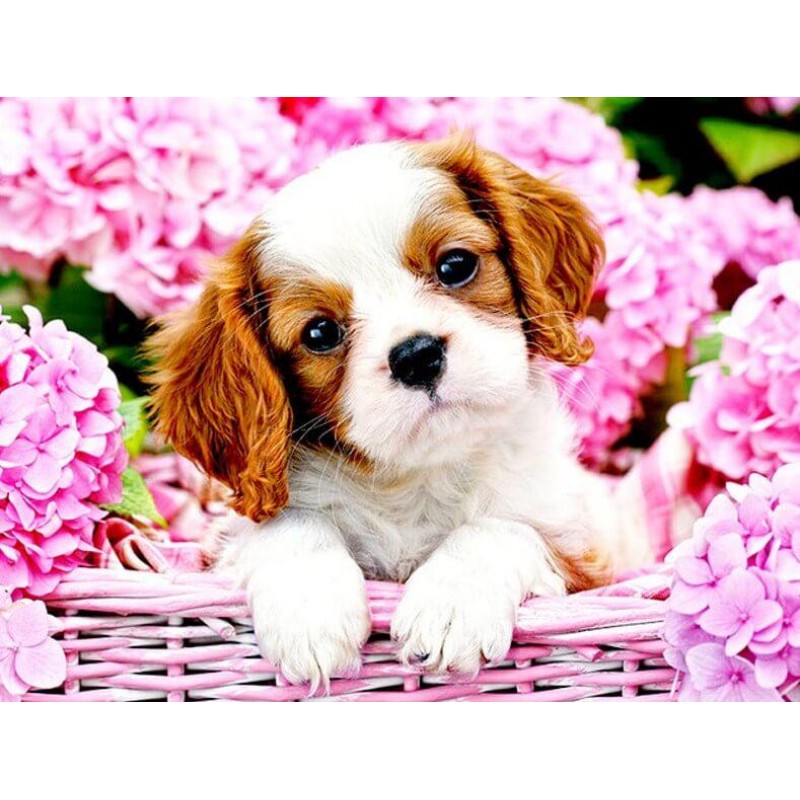 Puppy in Flower Bask...