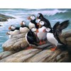 Puffins Diamond Painting Kit