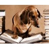 Professor Dog Diamond Painting