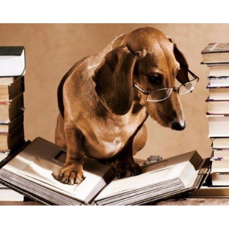 Professor Dog Diamon...